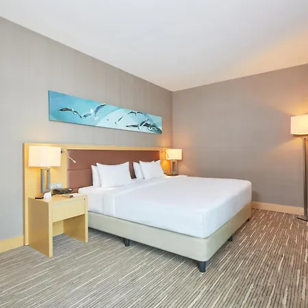 Park Dedeman Bostanci Hotell 4*