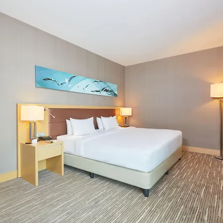 Park Dedeman Bostanci 4* Стамбул