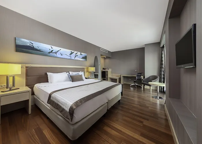 Park Dedeman Bostanci Hotel Istanbul